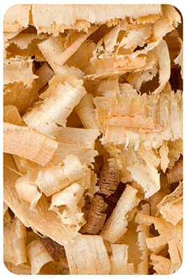 wood-shavings