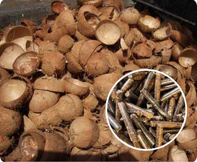 Coconut-Shell-Pellet-Mill