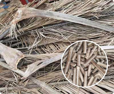 Palm-Leaf-Pellet-Mill