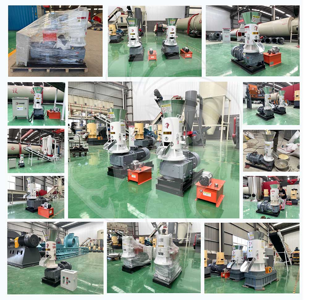 pellet-machine-manufacturing-plant